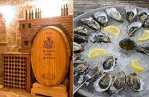 Peljesac Peninsula Wine Tasting Luxury Tour from Dubrovnik