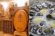 Peljesac Peninsula Wine Tasting Luxury Tour from Dubrovnik
