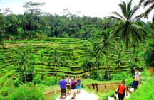 Best of Bali Tour - All Inclusive