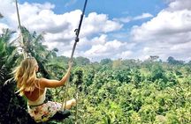 Ubud Tour: All around Ubud Full-Day Tour