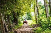 ATV Grand Sunset Tour