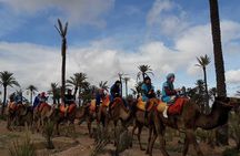  Experience Spa Hammam Massage and Camel tour