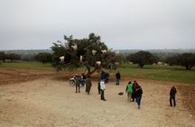  Private day Trip to Essaouira from marrakech 