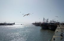  Private day Trip to Essaouira from marrakech 