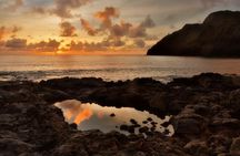 Oahu Sunrise Tour From Waikiki