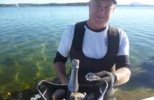 Coffin Bay Oyster Farm & Tasting Tour
