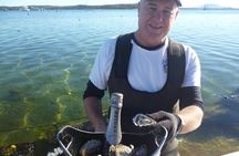 Oyster Farm and Tasting Tour with Hotel Pick-up and return from Port Lincoln