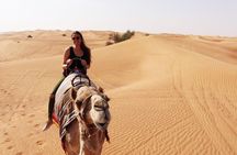 Budget-Friendly Dubai Evening Desert Safari Tour