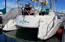 Catamaran Sailing Cruise on San Diego Bay for up to 6 Guests