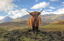 Edinburgh: Eilean Donan, Loch Ness & Glenfinnan - 2 Day Tour