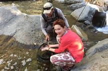 Family Fun Private Half Day Fly Fishing Adventure