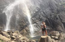 One Day In Yosemite Private Tour:Yosemite Valley, Glacier Point & Giant Sequoias