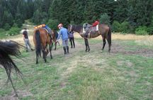 Rila Trail Riding for Experienced Riders