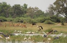 4 Days Okavango Delta Experience