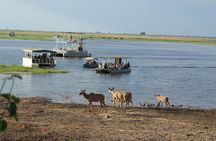 Chobe Full day Safari: Game Drive & Boat Safari with Lunch