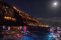 Scuba Night Dive on Tenerife