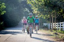 Chiang Mai Active E-bike Countryside Ride
