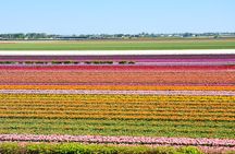 Amsterdam: Half Day Guided Keukenhof Tulip Garden Tour