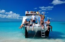 Private 4 Hour Power Catamaran Excursion in Grace Bay