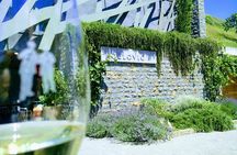 Wine & more Tour , private guided wine tour from POREC, UMAG ,Istria