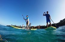 Sosua Stand Up Paddle Boarding