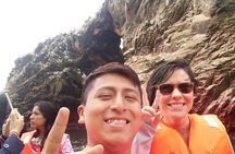 Sea Lions !!! Experience in the Ocean