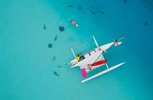 Private Moorea Discovery Half-day Sailing