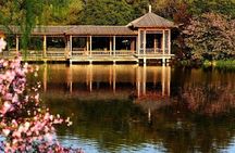 Hangzhou West Lake Walking Day Tour