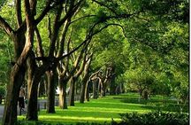 Hangzhou West Lake Walking Day Tour