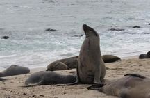 Galapagos Surprising 4 Days