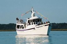 Hilton Head Island Dolphin Watching Nature Cruise