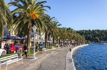 Dubrovnik Coast and Cavtat Shore Excursion