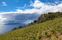 Wine Lover's Tour From Dubrovnik 