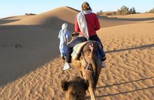 From Marrakech: Private Tour to Oasis and Trekking in the Desert of Erg Chigaga