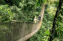 Rainmaker Park Hanging Bridges & Waterfalls Tour with Jade Tours 