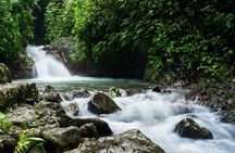 Rainmaker Park Hanging Bridges & Waterfalls Tour with Jade Tours 