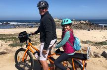 Monterey's 17 Mile Drive Electric Bike Tour, 2.5-3 hour