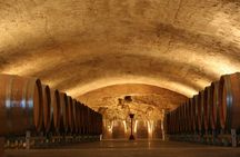Châteauneuf du Pape Wine Day Tasting Tour including Lunch from Avignon