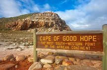 Cape Town: Cape Peninsula Half Day Private Tour