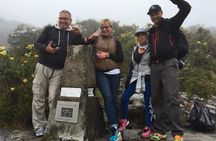 Cape Town: Platteklip Gorge Half-Day Hike on Table Mountain