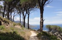 Pipetrack Hike for the whole family on Table Mountain - PRIVATE