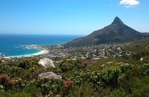 Pipetrack Hike for the whole family on Table Mountain - PRIVATE