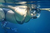 Los Cabos Snorkeling Tour to Chileno Bay and Santa Maria Cove