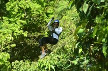 Canopy Zip Line in Go Adventure Park