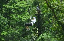 Canopy Zip Line in Go Adventure Park