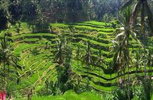 A Day Trip to Tukad Cepung & Rice Terrace