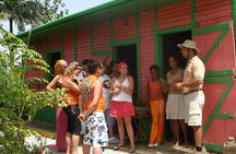 Bayahibe Countryside Safari from La Romana