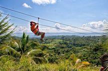 Zipline Adventure in El Limón
