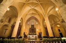 Full-Day Santo Domingo City Tour from La Romana
