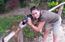 Monkeyland and Plantation Safari from La Romana